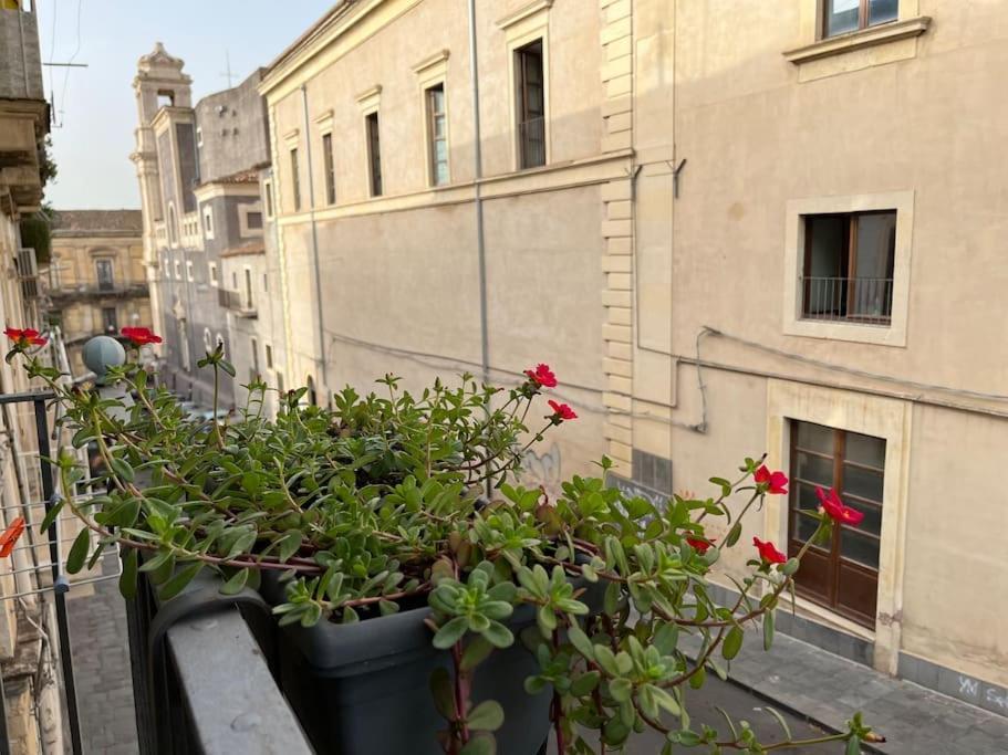 L' Angolo Dei Benedettini